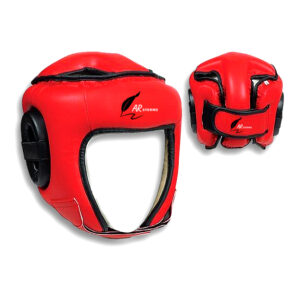 HEAD GUARDS