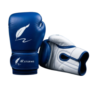 ARSTORMS BOXING GLOVES
